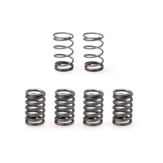 ARK's Spare Springs Kit for Z-Vibe and Z-Grabber Pack of 6